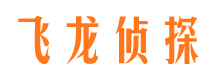 龙凤市侦探公司